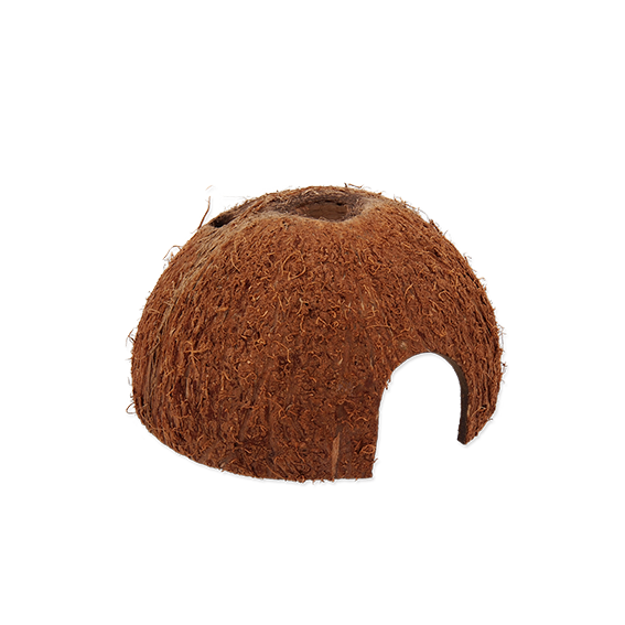 Coco Shell