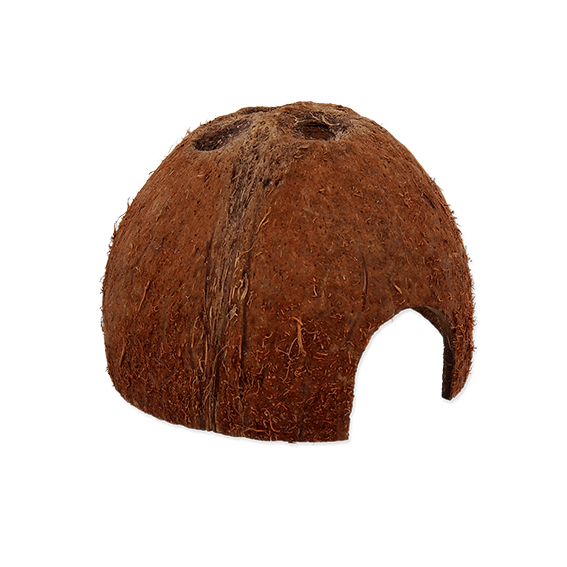Coco Shell