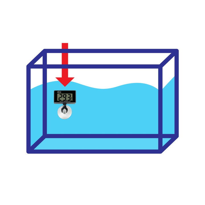 Digitalthermometer