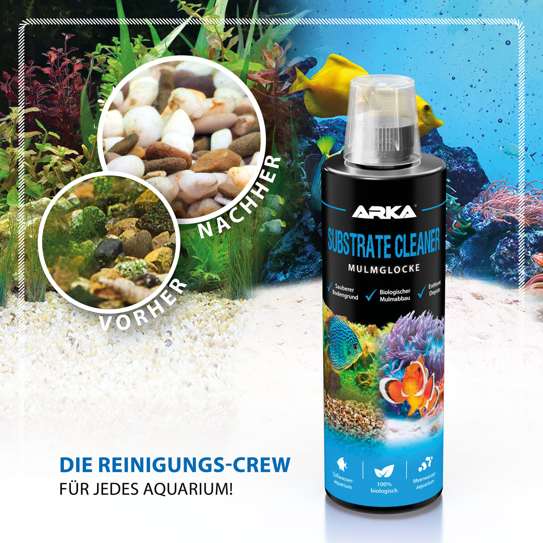 Substrate Cleaner