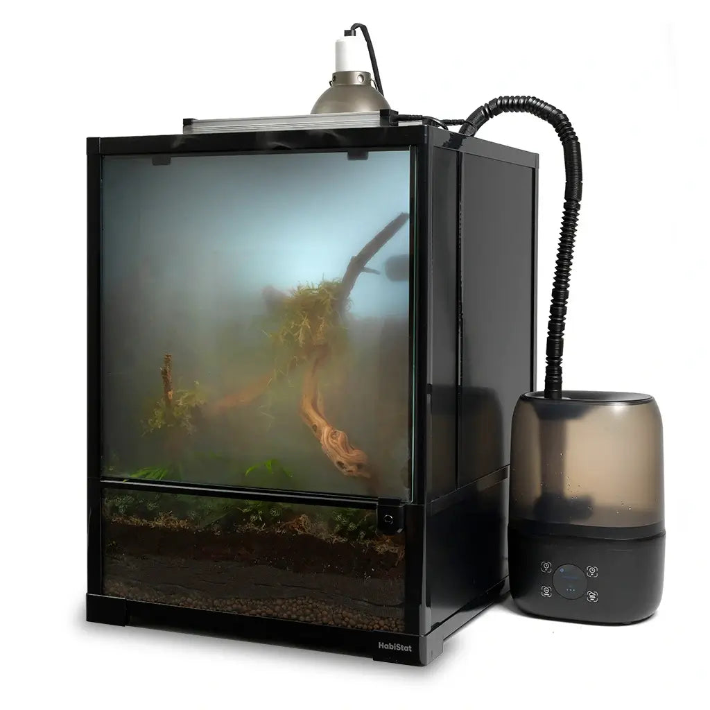 Humidifier