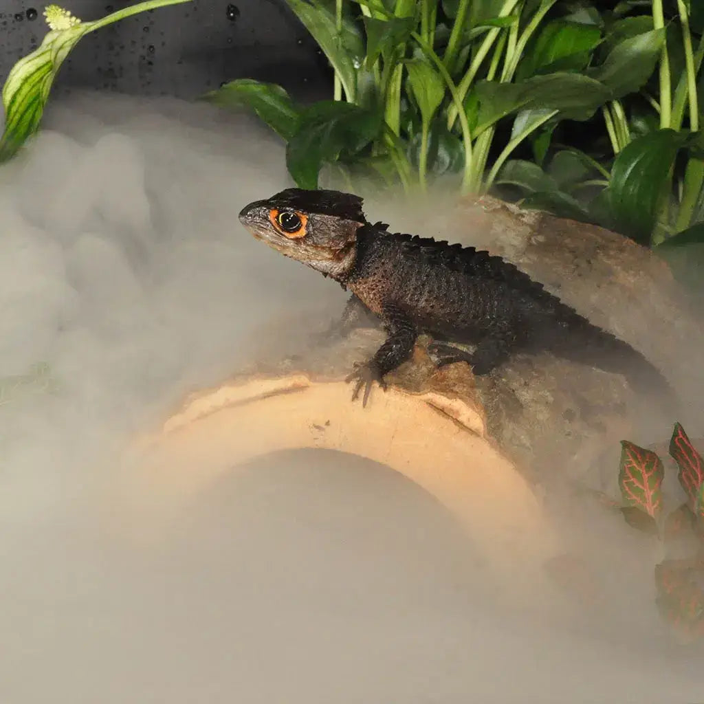 Humidifier