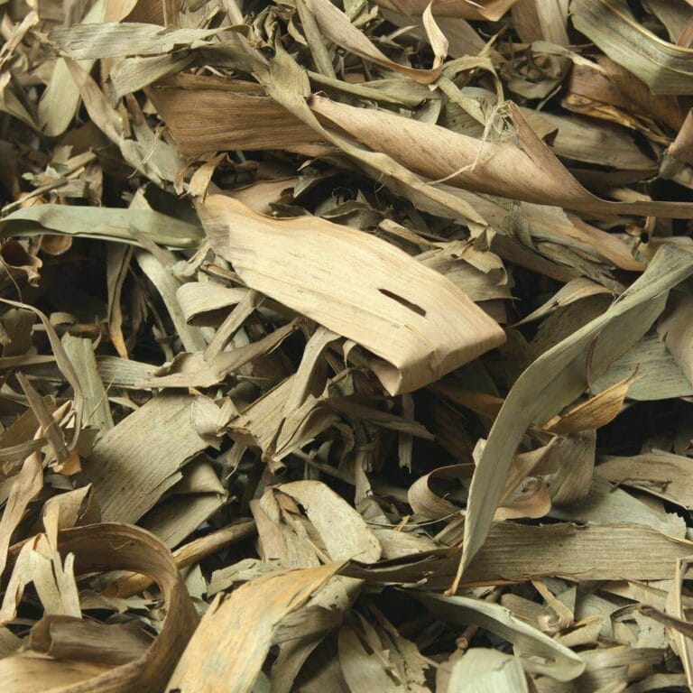 Leaf Litter Bamboo