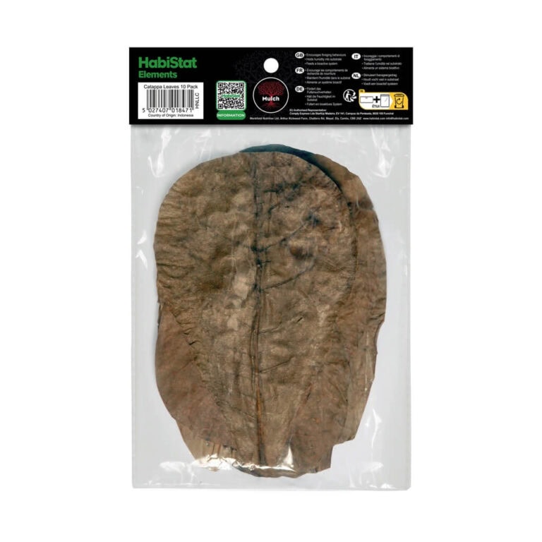 Catappa Leaves