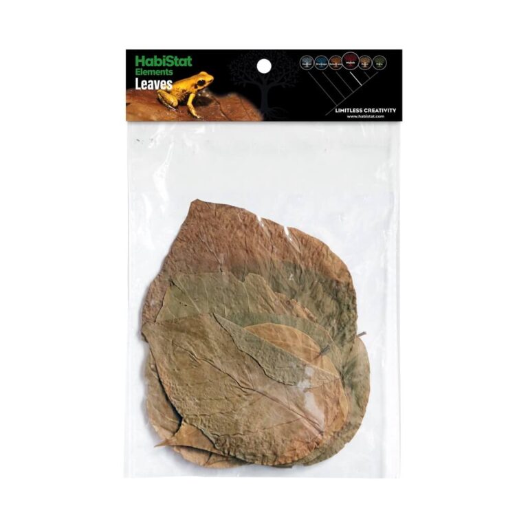 Dadap Leaves