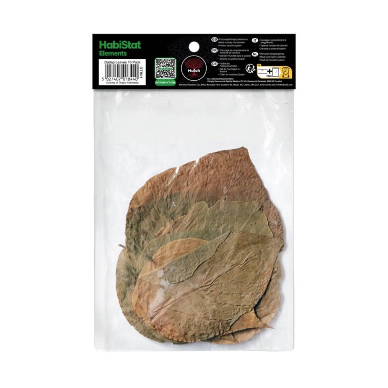 Dadap Leaves