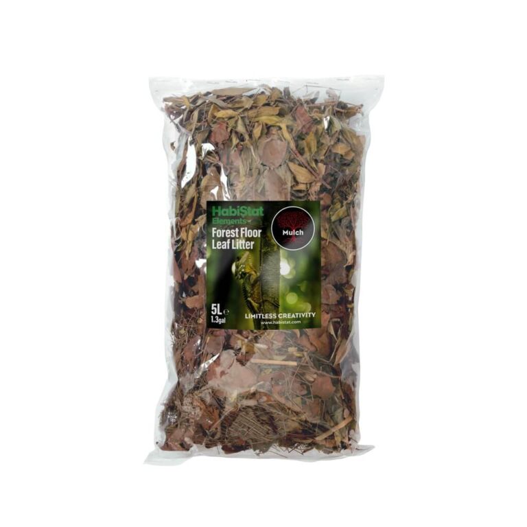 Leaf Litter Forest Floor