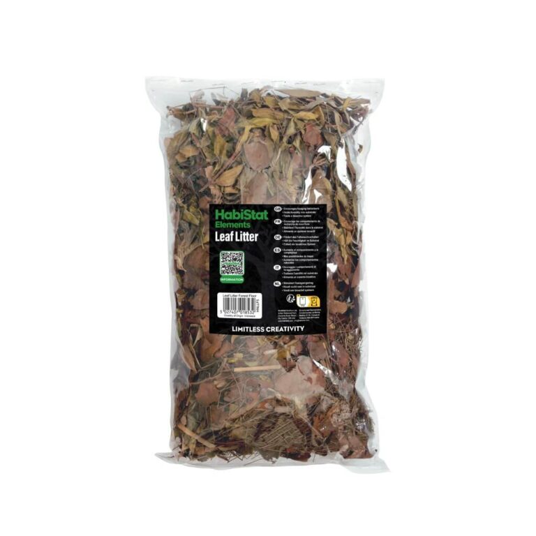 Leaf Litter Forest Floor