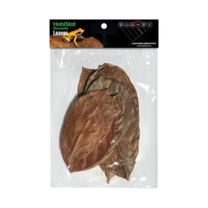 Jackfruit Leaves