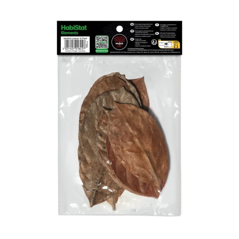 Jackfruit Leaves