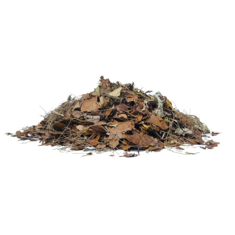 Leaf Litter Mulch