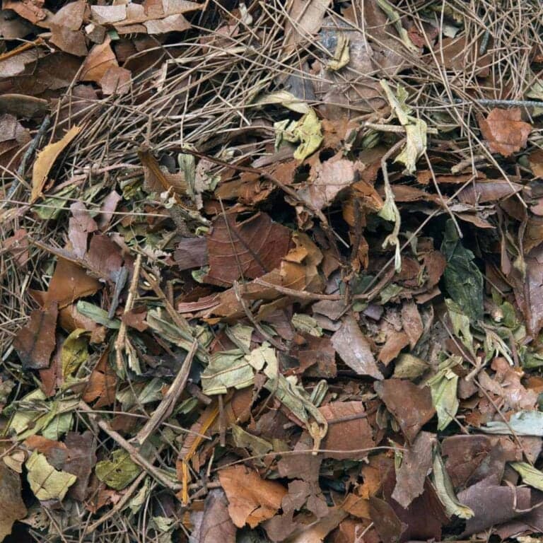 Leaf Litter Mulch