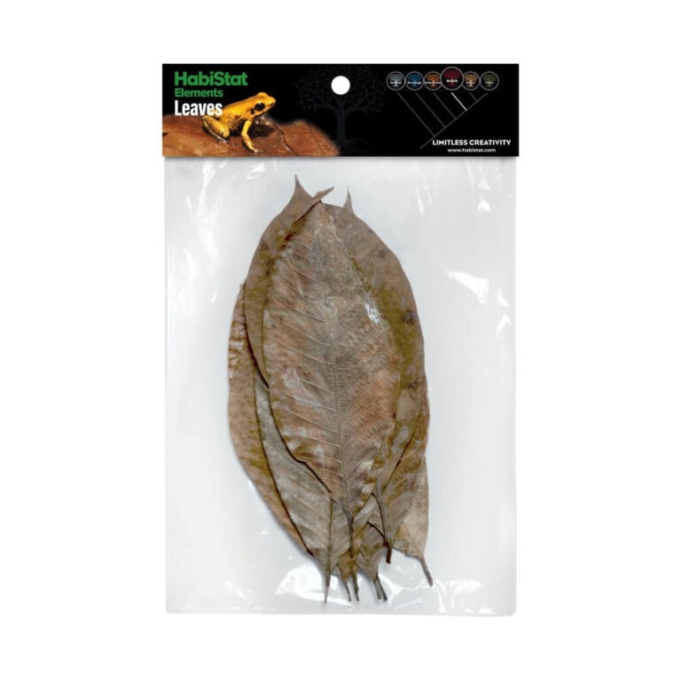 Rubber Leaves