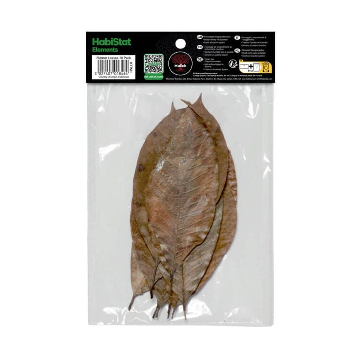 Rubber Leaves