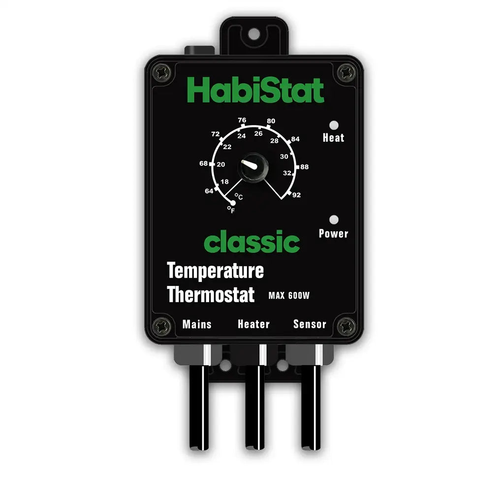 Temperature Thermostat