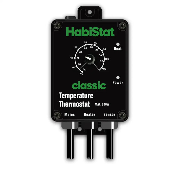 Temperature Thermostat