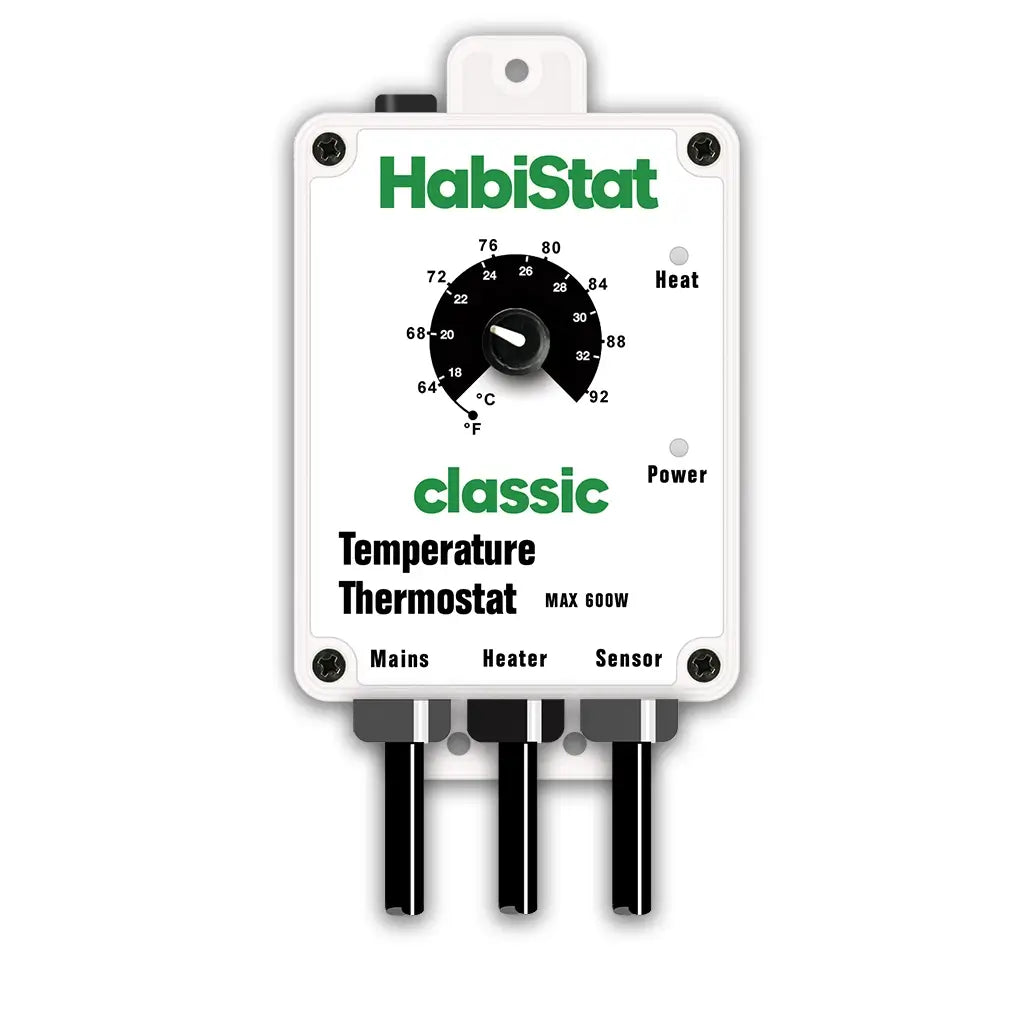 Temperature Thermostat