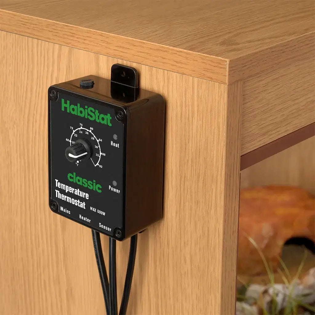 Temperature Thermostat