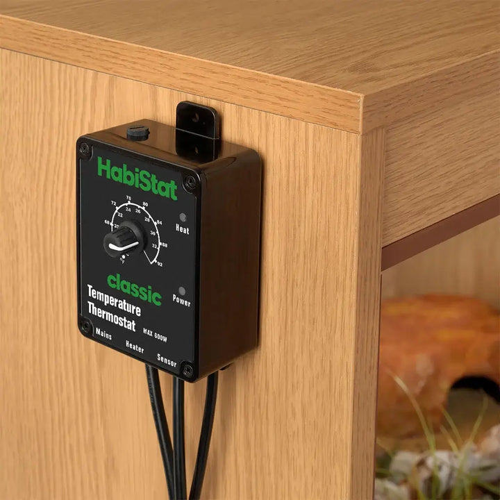 Temperature Thermostat