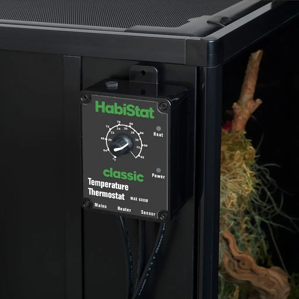 Temperature Thermostat
