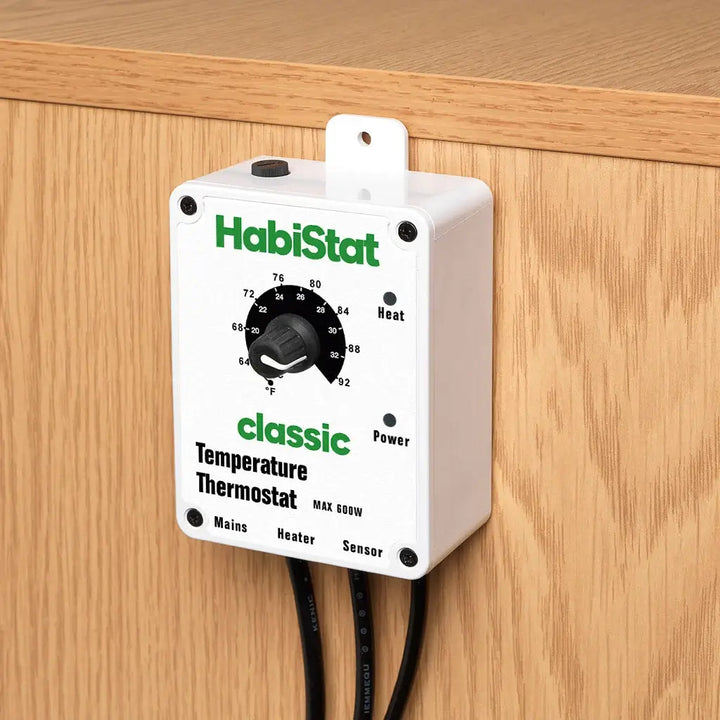 Temperature Thermostat