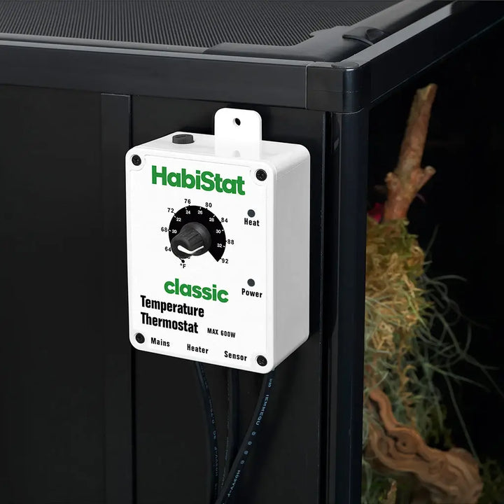 Temperature Thermostat
