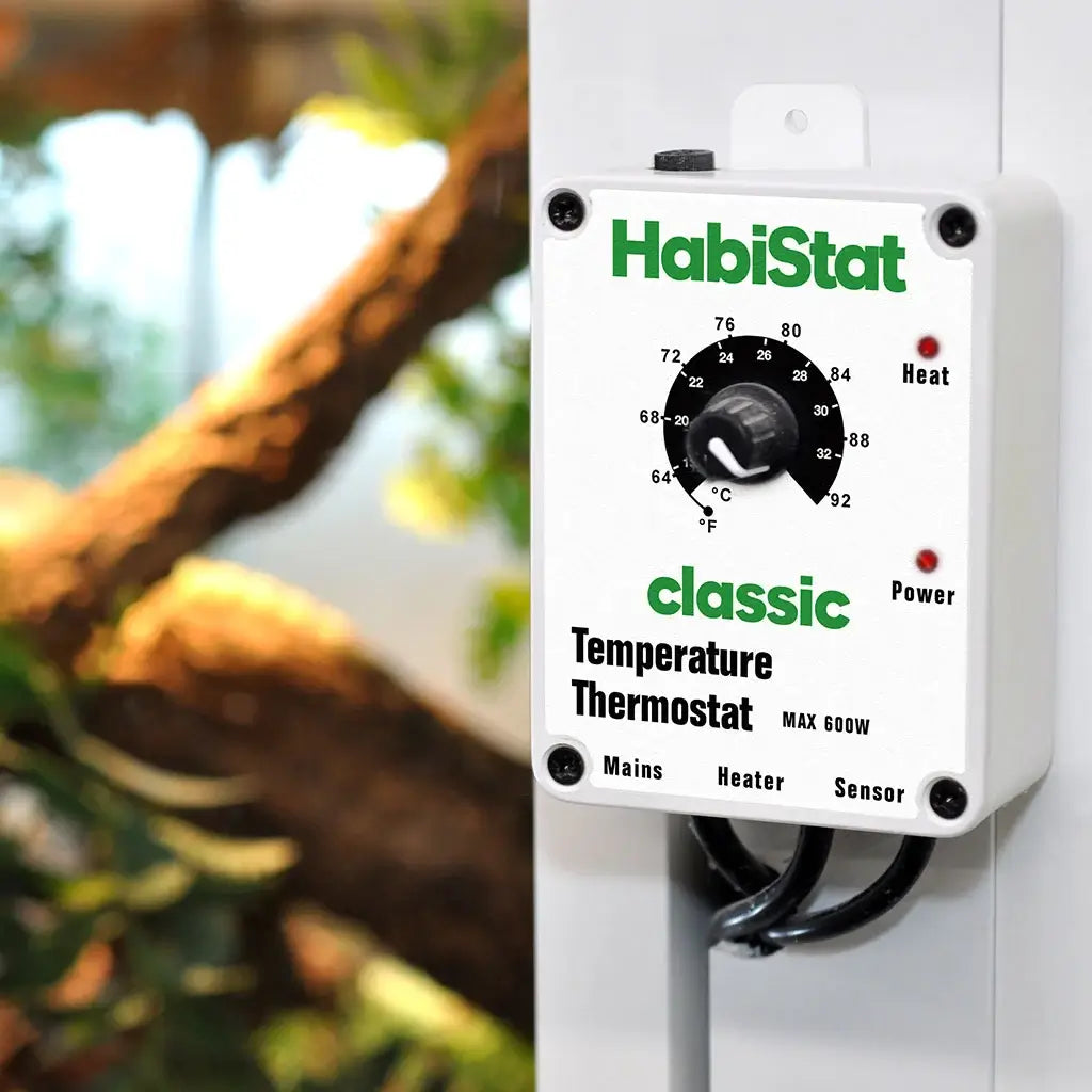 Temperature Thermostat