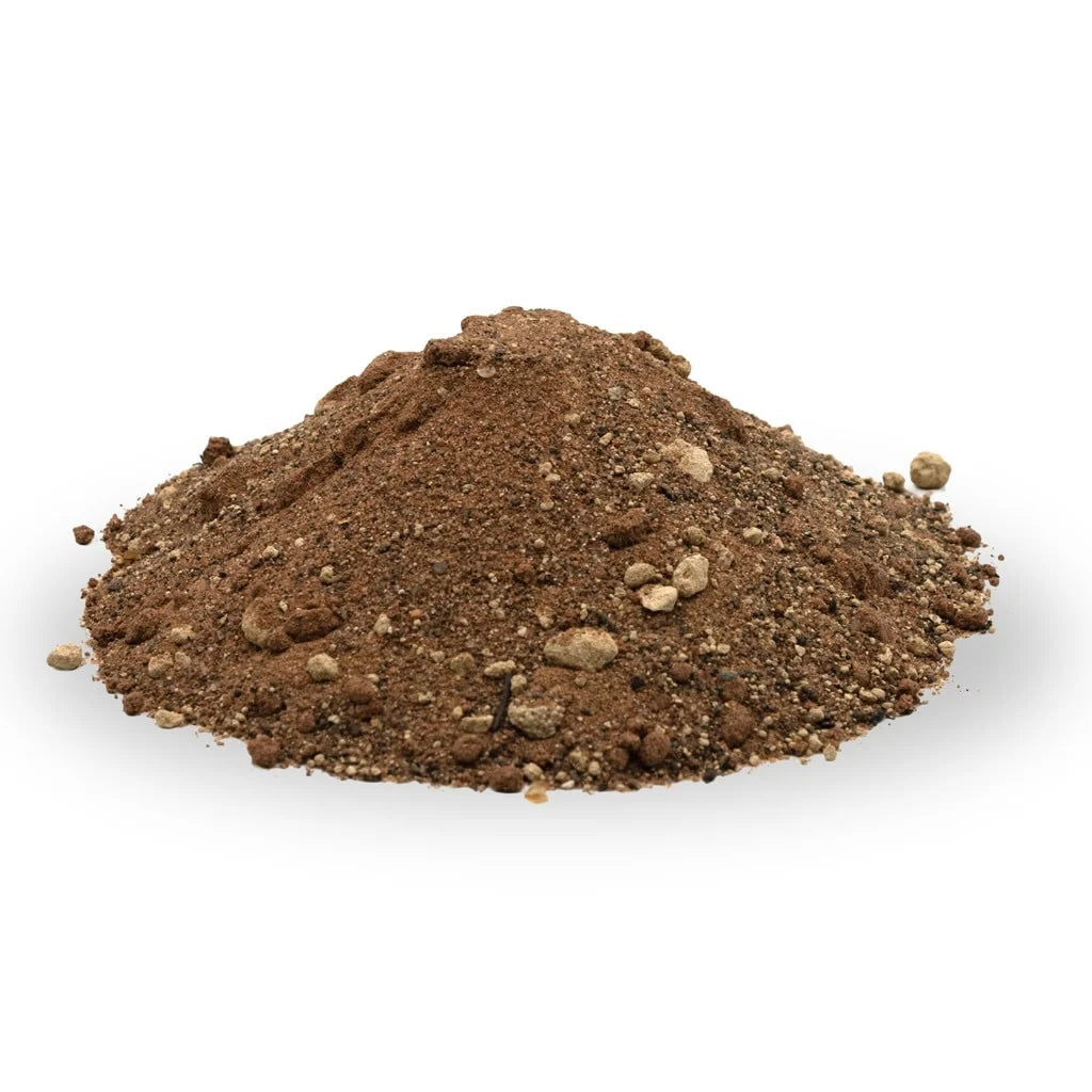 Bearded Dragon Substrate