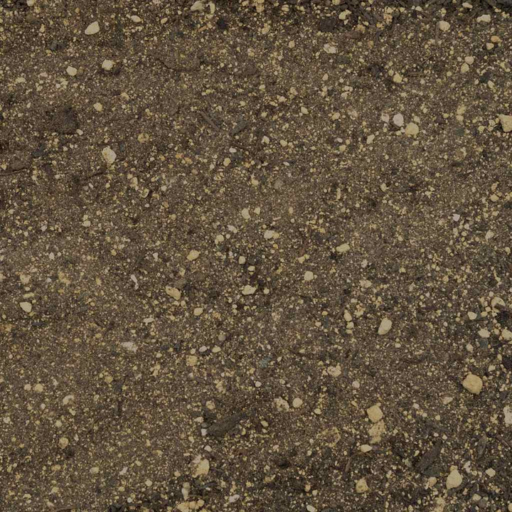 Leopard Gecko Substrate