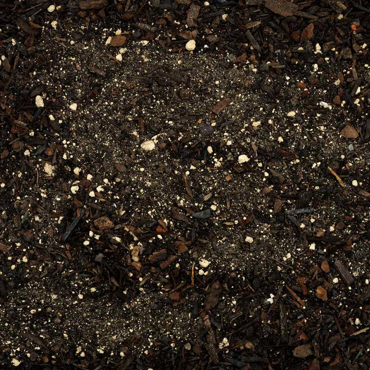Natural Snake Substrate