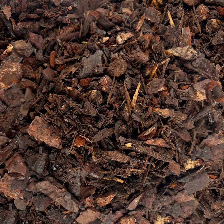Orchid Bark