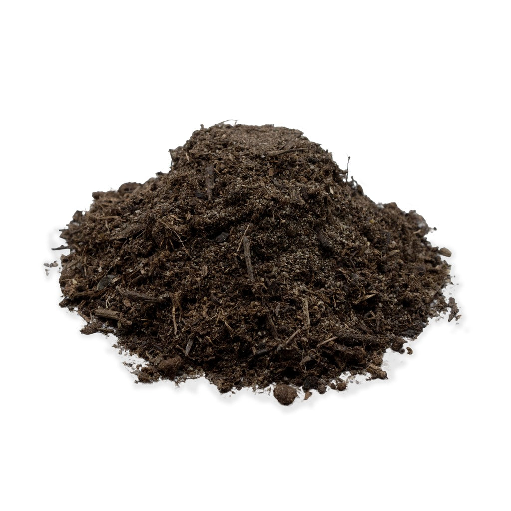 Spider Substrate