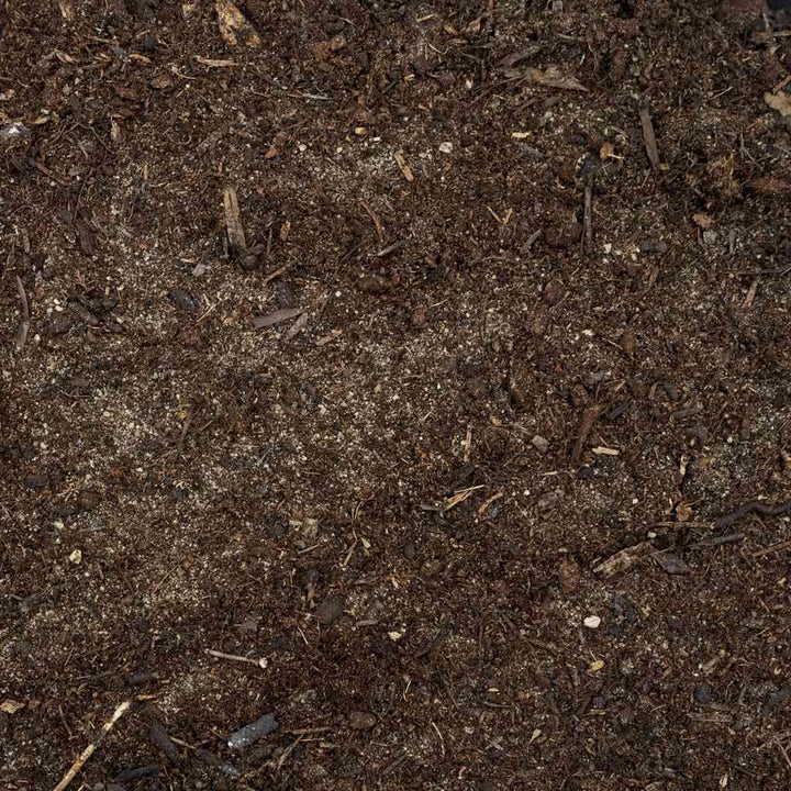 Spider Substrate