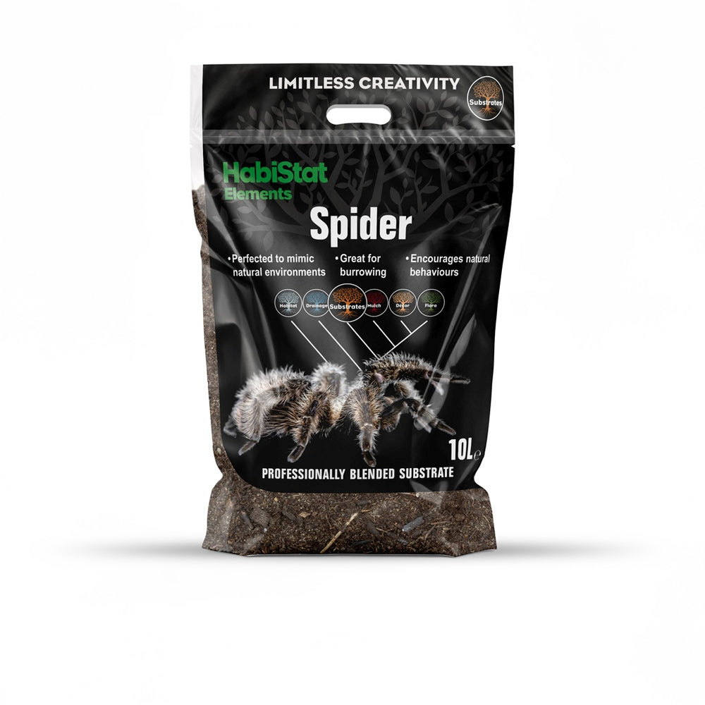 Spider Substrate