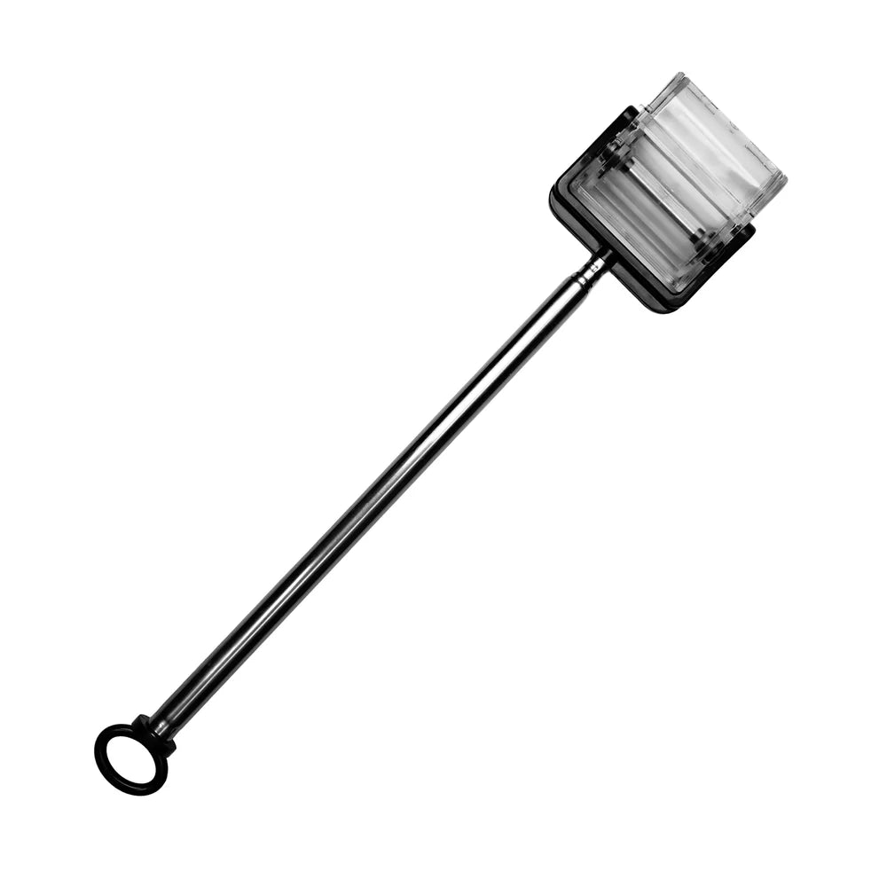 Snail Catcher