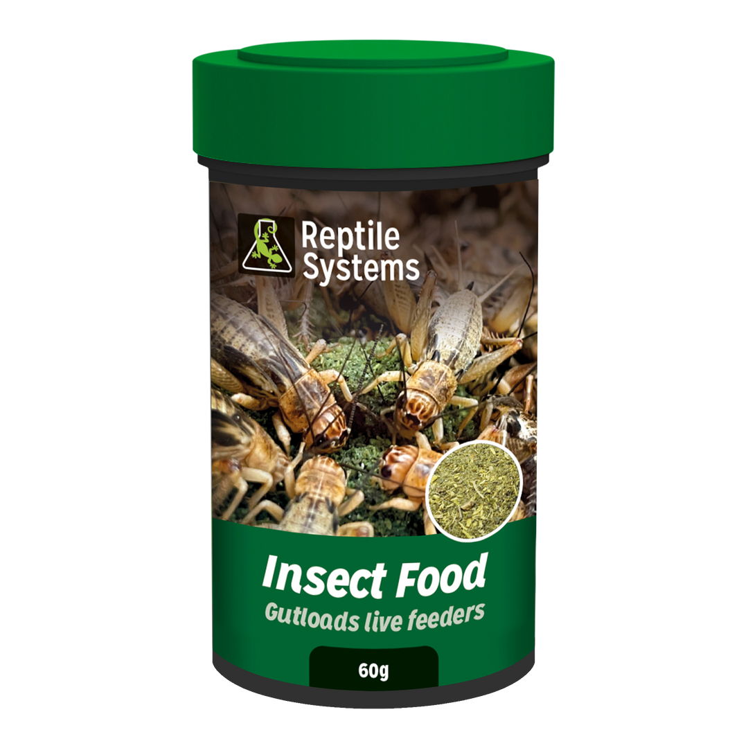 A la Carte Insect Food