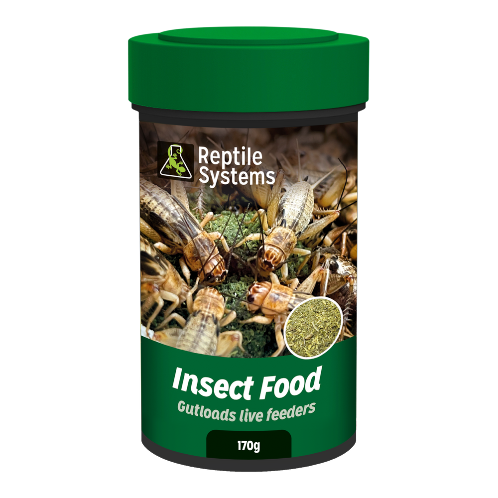 A la Carte Insect Food