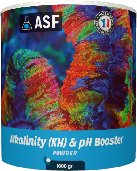 Reef Powder