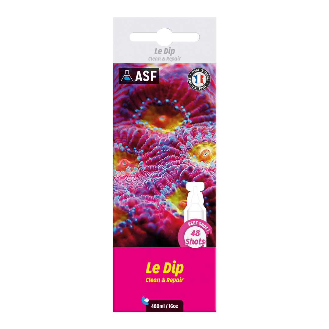 Le Dip