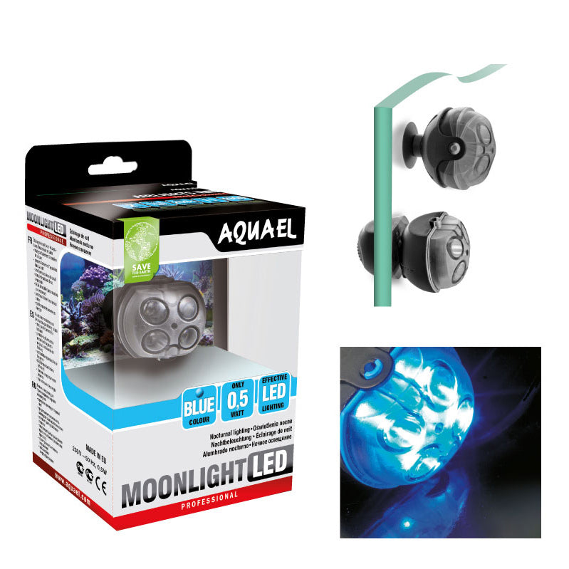 Moonlight LED