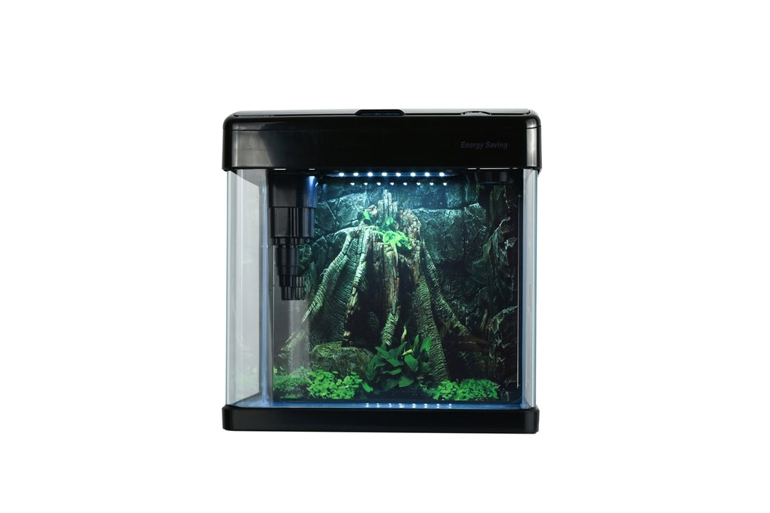 Aquariumset 19L