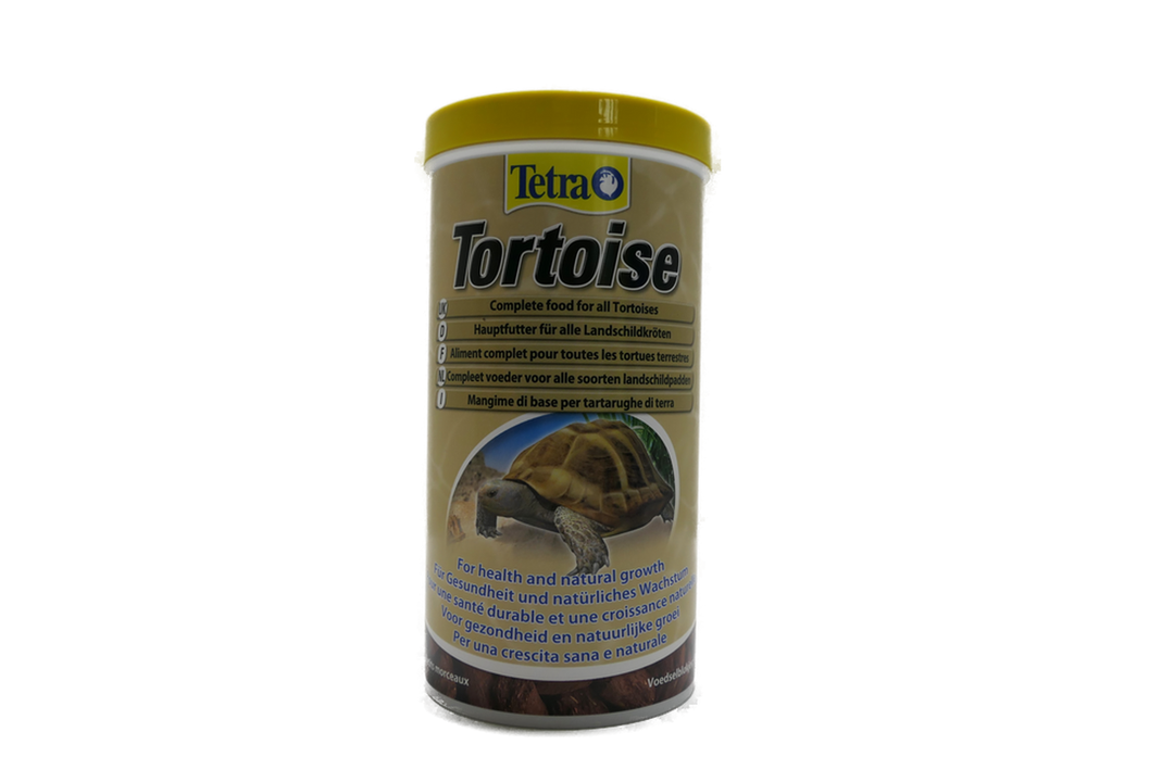 Tetra Tortoise