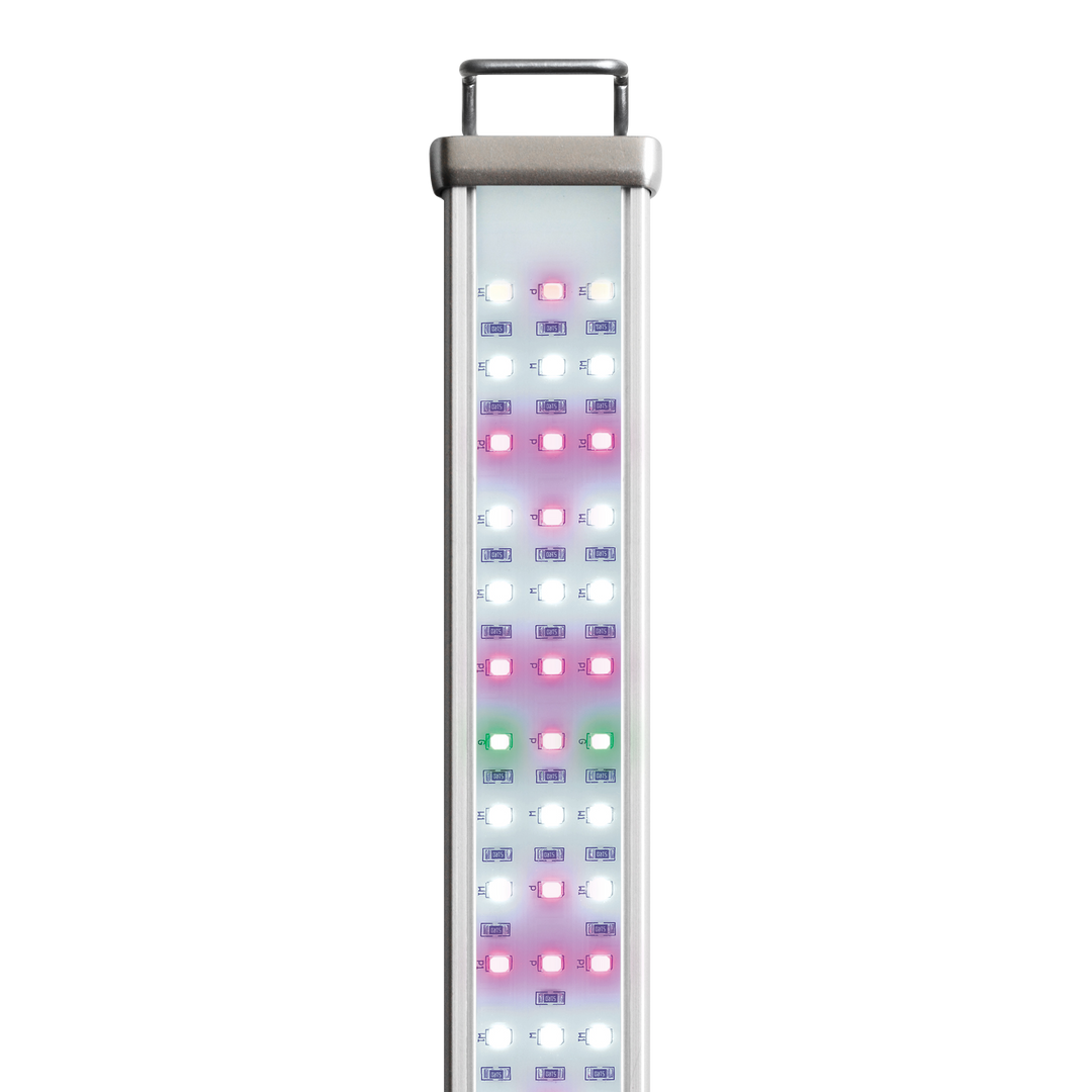 Proten LED bar freshwater