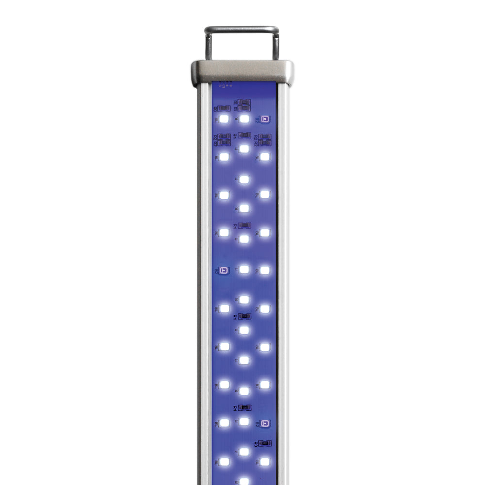 Proten LED bar marine