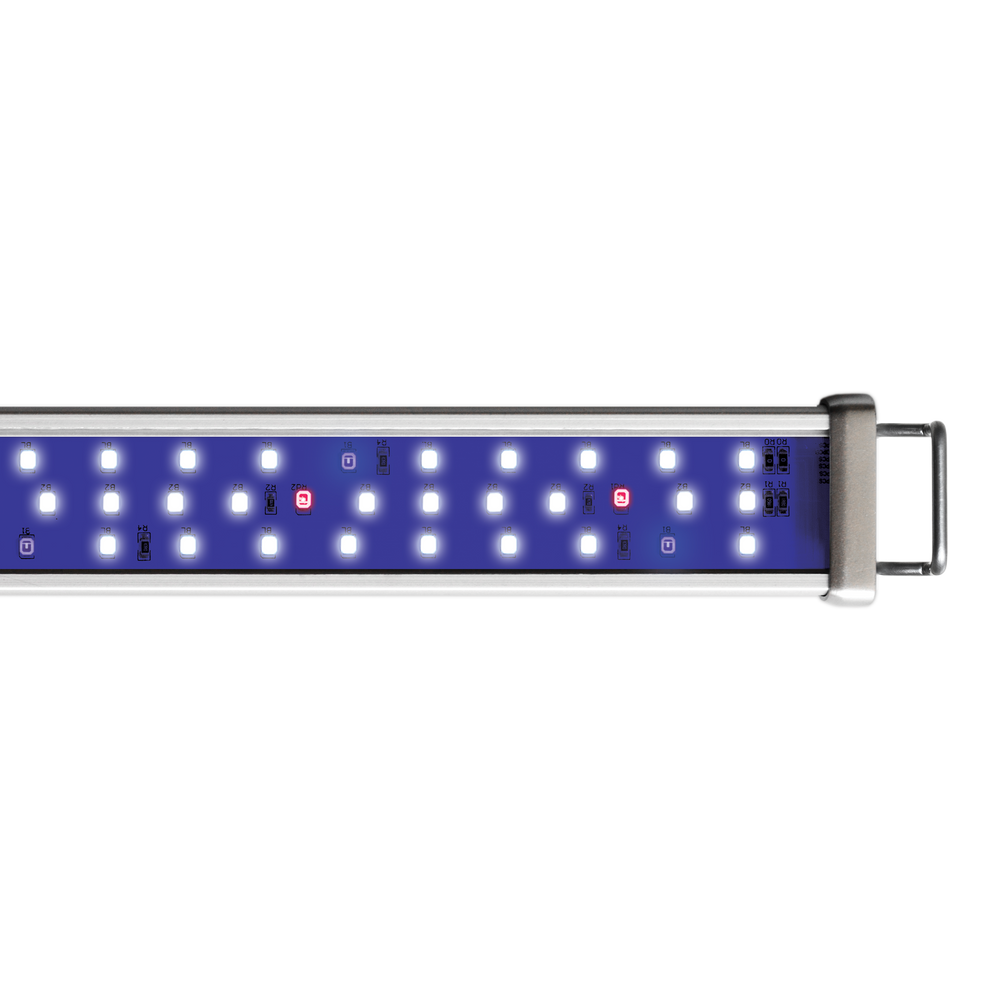 Proten LED bar Reef Blue