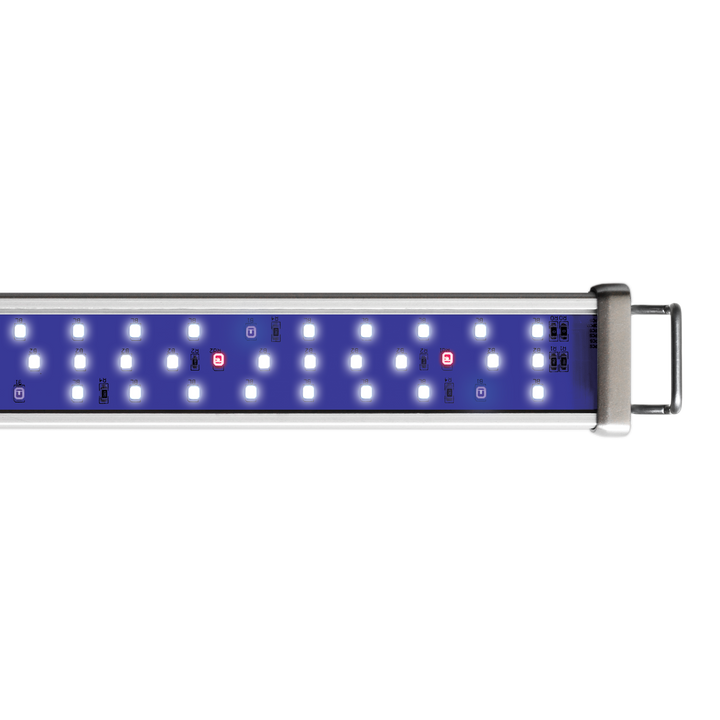 Proten LED bar Reef Blue