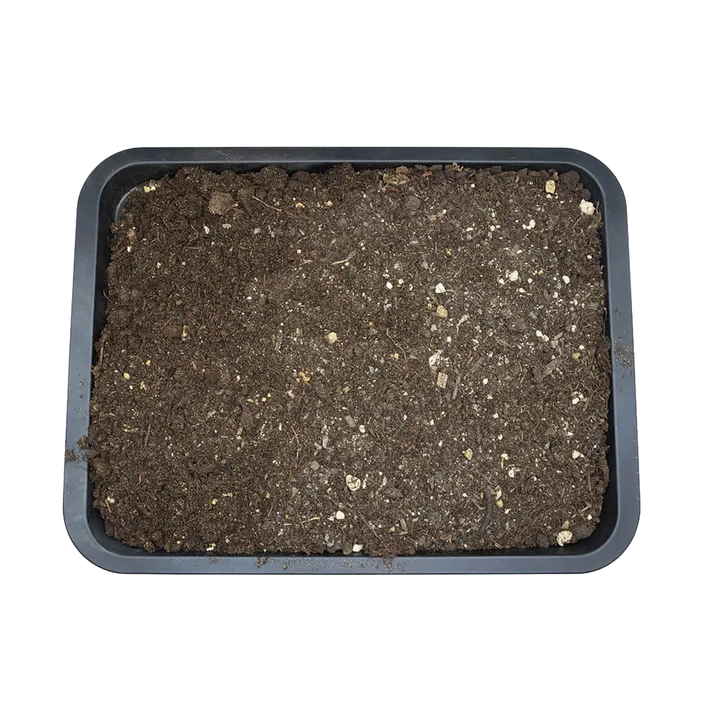 EarthPro EarthMix Prairie