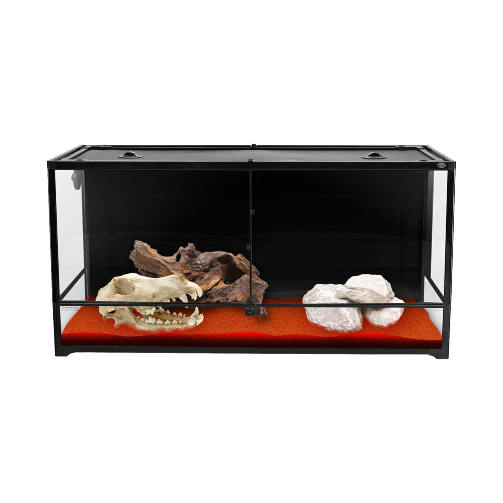 Terrarium
