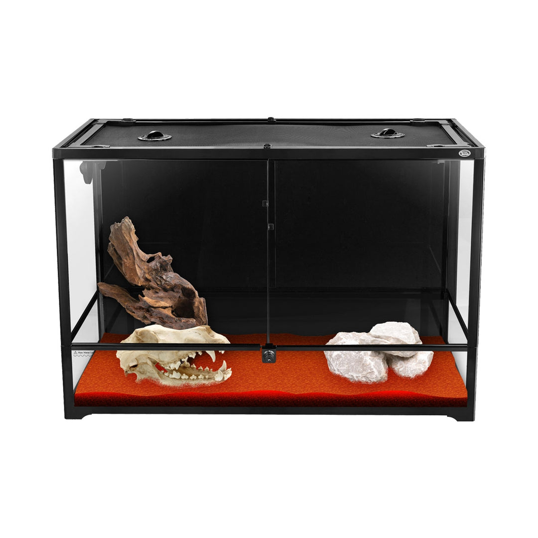Terrarium