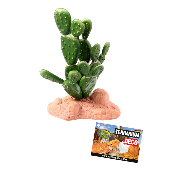 Kunstpflanzen